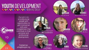 Youth Development Working Group