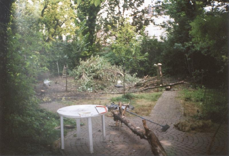 Paint Your Summer! (29.07.2002 - 04.08.2002) - ITWG meeting in the Head Office - 8: Garden after the gardeners left.