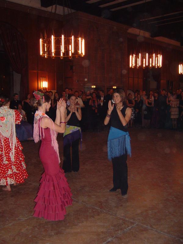 The Newropean Union Gala Ball (24.01.2004 - 25.01.2004) - Masquerade ball in Heidelberg castle (1) - 11