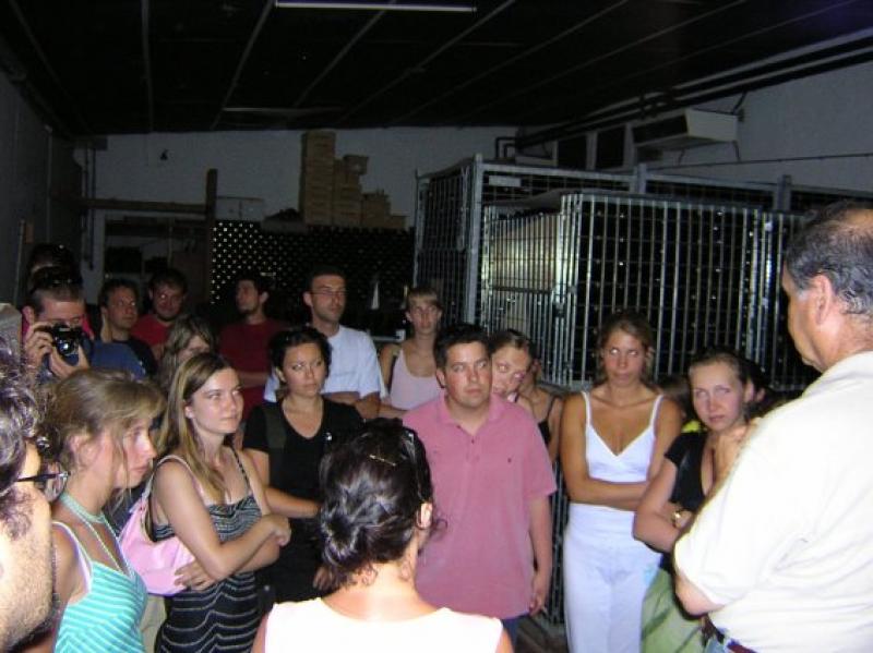 In vino veritas (15.07.2004 - 29.07.2004) - The taste of the real italian wine and fun - 9