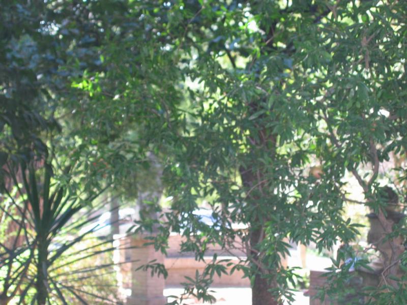 From the EU orbit: Krakow-Madrid-Moscow-Odessa (26.09.2005 - 05.10.2005) - Madrid from Cracovian orbit:) - 121