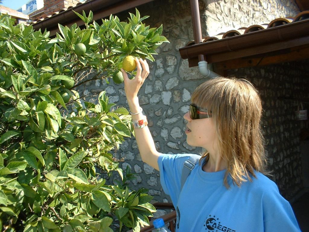 Touch for fun! (17.07.2006 - 30.07.2006) - SU Hatay - 76