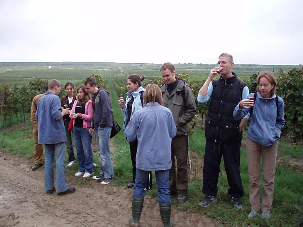 'Uncork your life !' - The Wine-Event (29.09.2006 - 03.10.2006) - Sunday