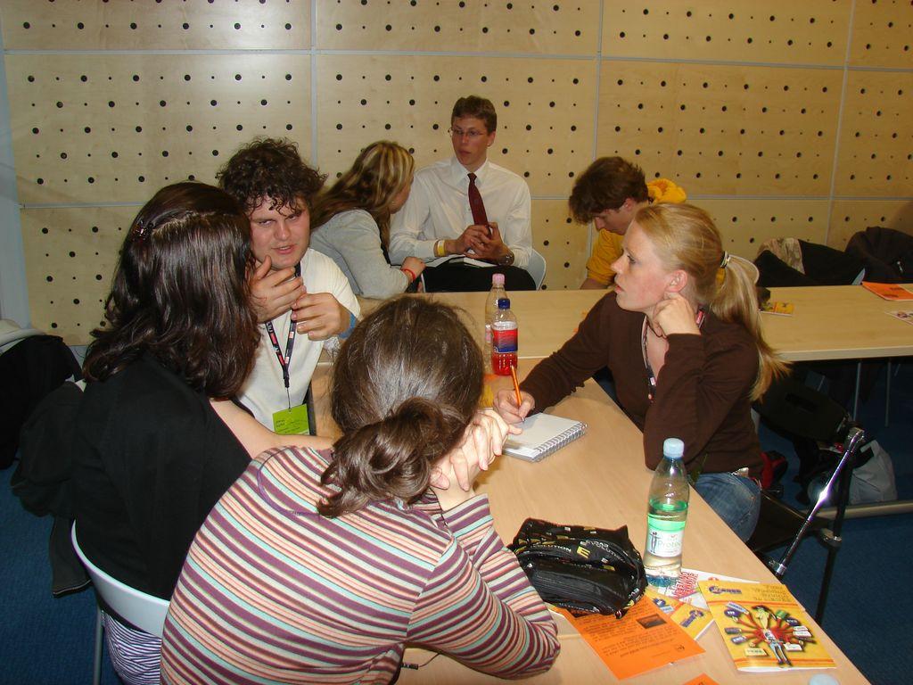 Spring Agora Ljubljana 2008 (30.04.2008 - 04.05.2008) - What did AEGEE CWG see? - 88
