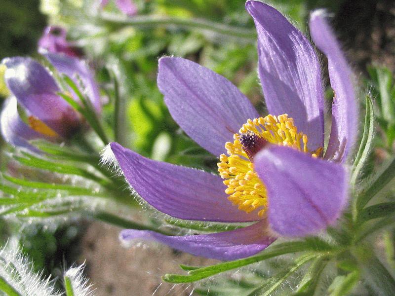 Exchange Gdansk-Enschede (01.05.2003 - 08.05.2003) - Photos Tijs part 2 - 37