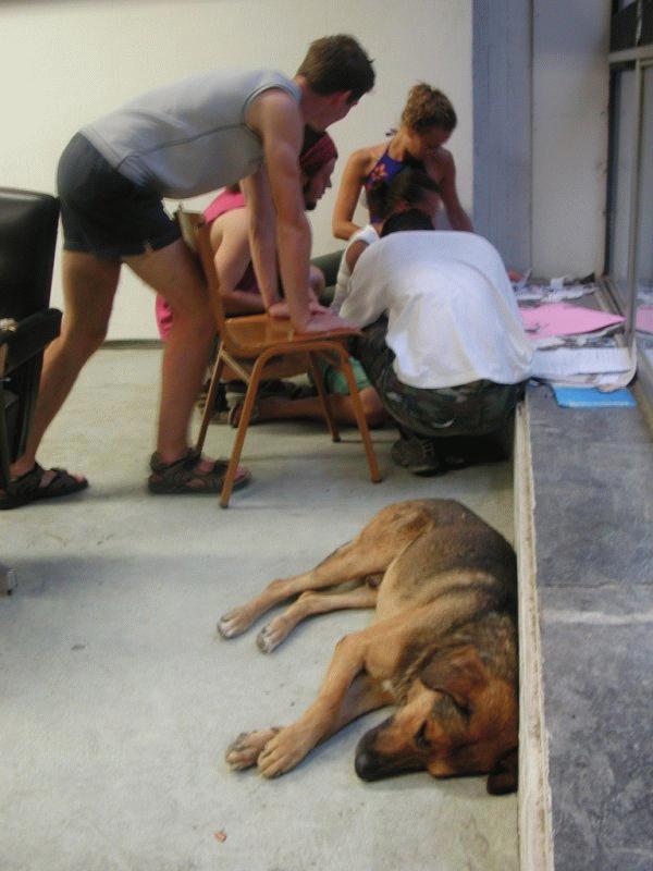 Greek Trophy V (07.07.2003 - 21.07.2003) - Photos SU Thessaloniki, by Tim Klifman - 55