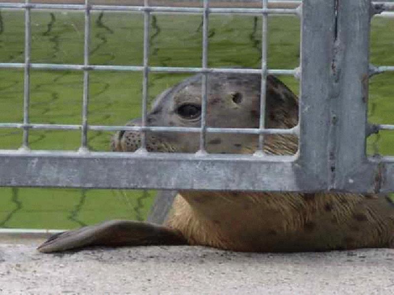 Waterproof (04.08.2003 - 19.08.2003) - WATERPROOF - 282