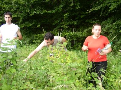 53: Searching berries during hiking up.