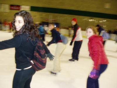 27: and finally ice skating