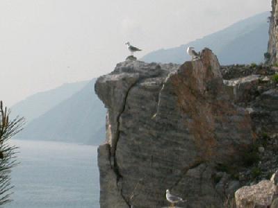 77: Postcard 1