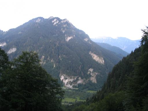 40