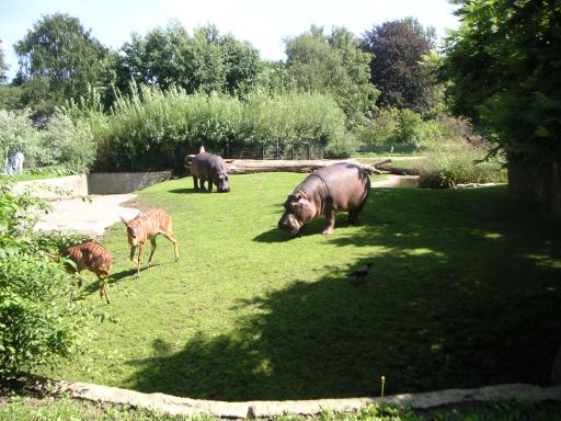 16: Berlin Zoo