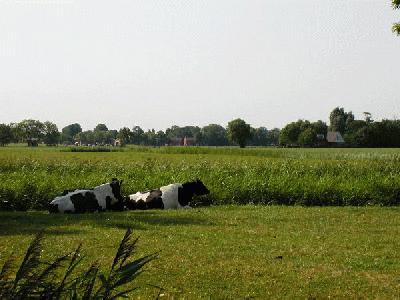 221